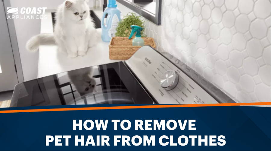 How to Remove Pet Hair from Clothes: Ultimate Guide & Tips